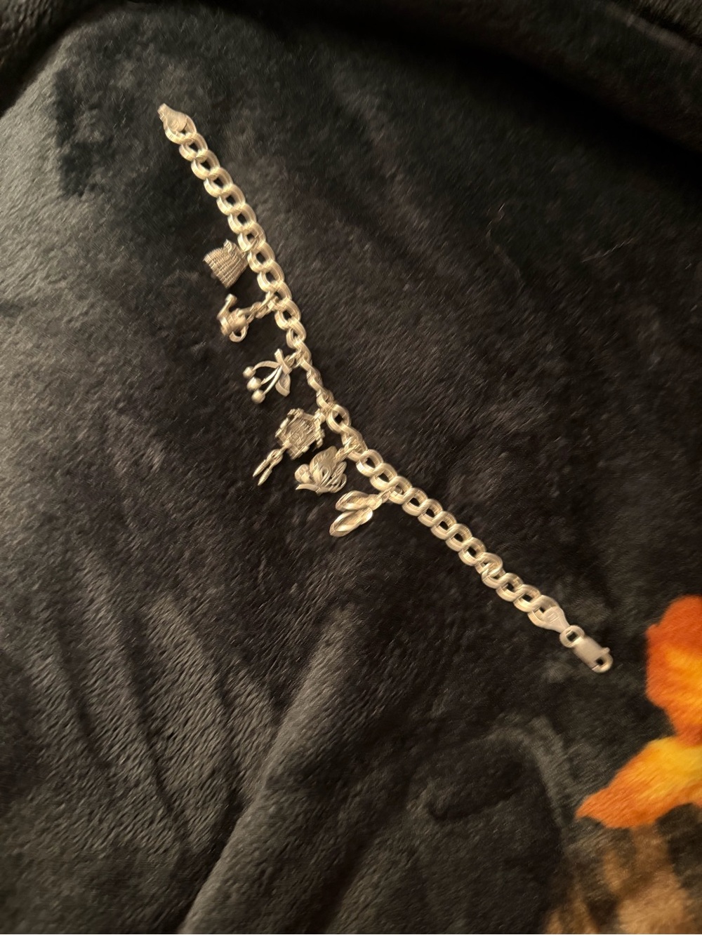 Silver Charm Bracelet with6  Charms